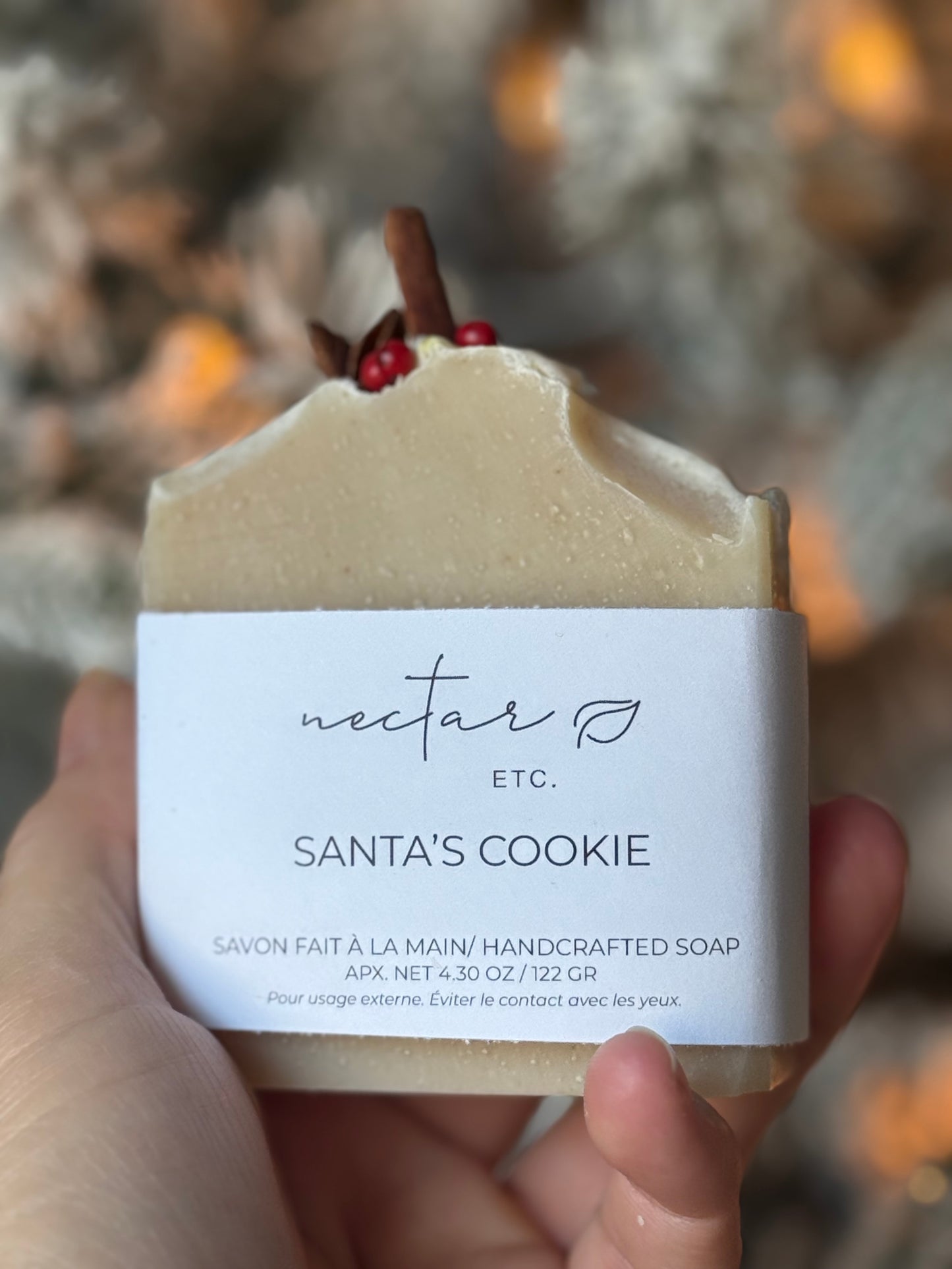 Santa’s Cookie
